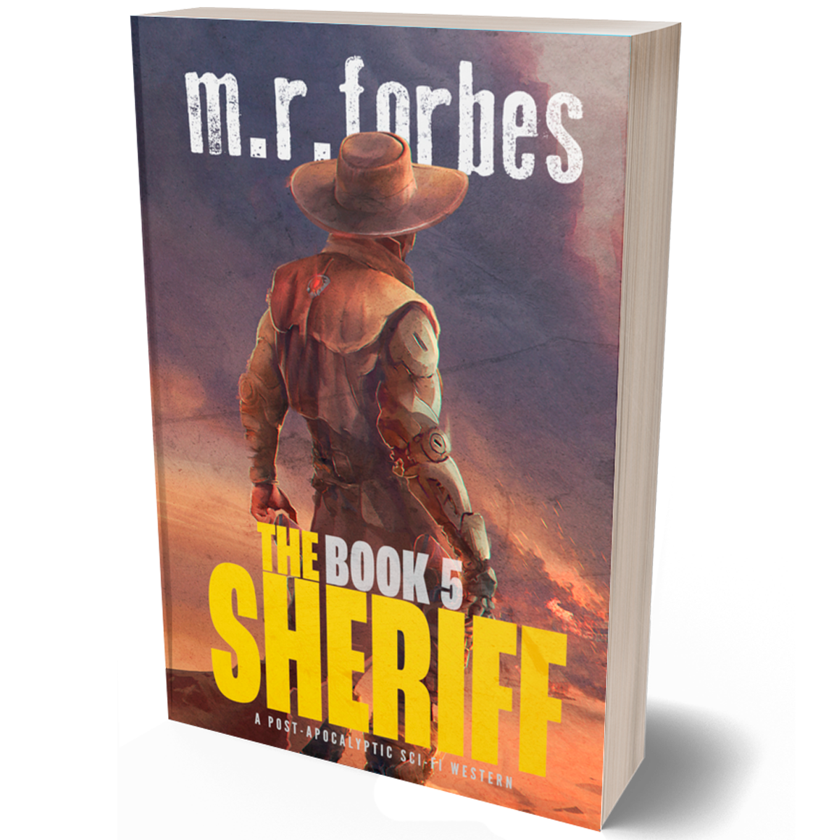 The Sheriff 5