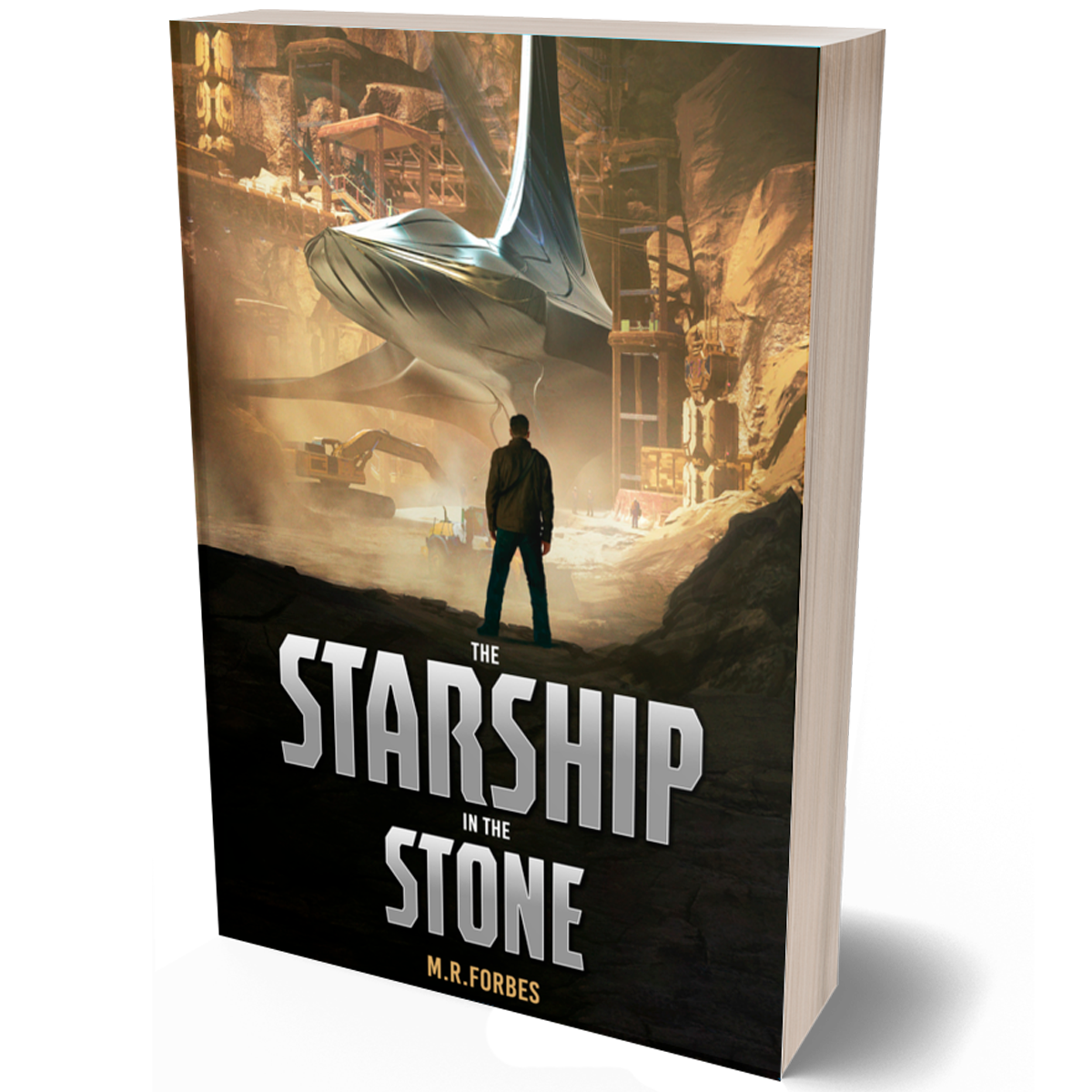 The Starship In The Stone (Book One)