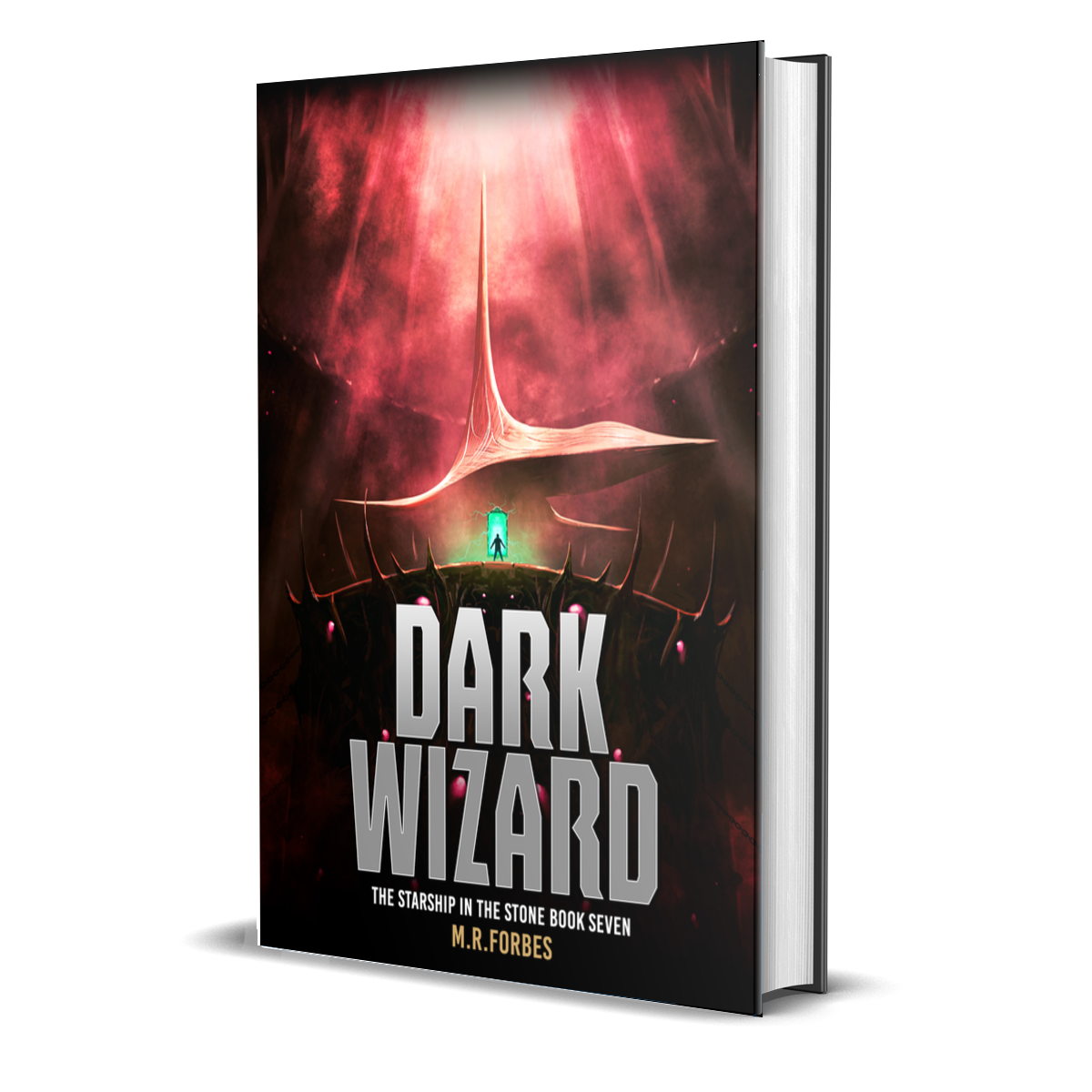 Dark Wizard (The Starship In The Stone, Book Seven)